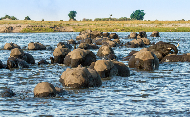 3 Day Chobe River Safari - Houseboat Adventure Package
