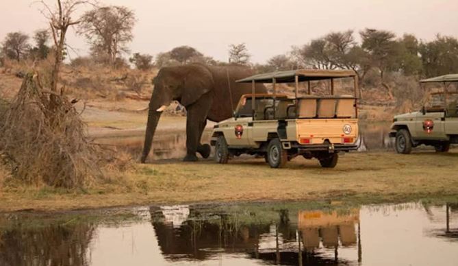 3 Day Fully Catered Mobile Safari Moremi Game Reserve