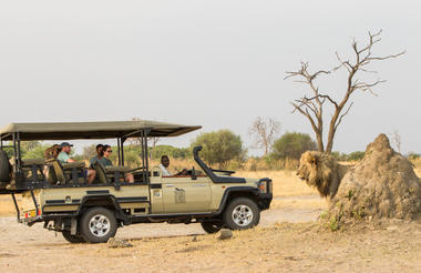 Botswana - Africa's Best Kept Secret
