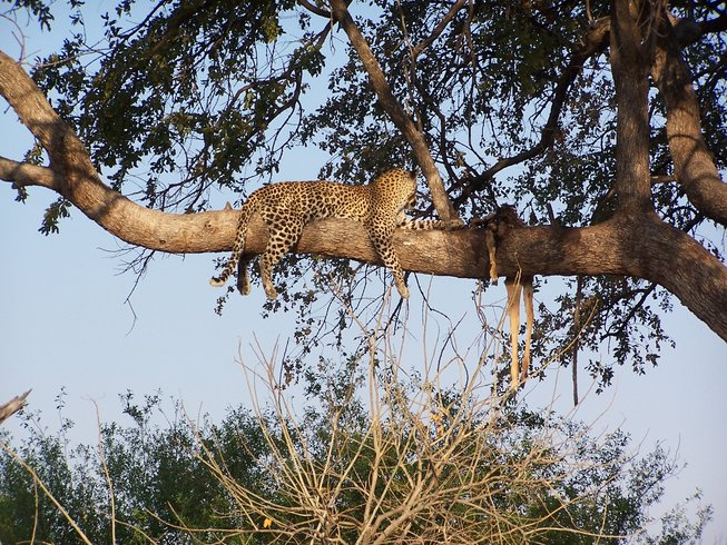 Botswana Safari Tour