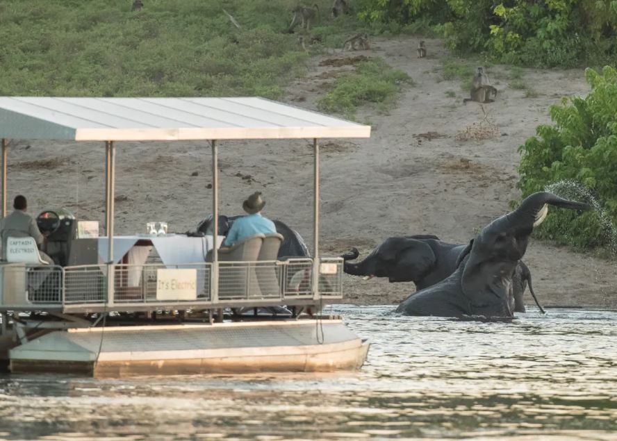 Botswana and Victoria Falls Safari