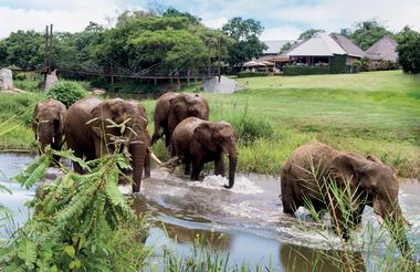 Cape Town, Kruger, Victoria Falls, Chobe & Okavango Delta