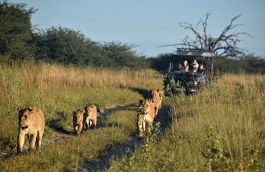 Cape Town, Victoria Falls, Chobe & Moremi