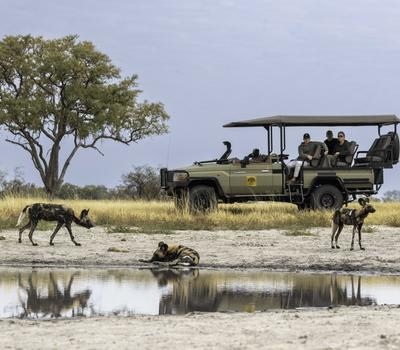 Chobe National Park & Hwange National Park Combo