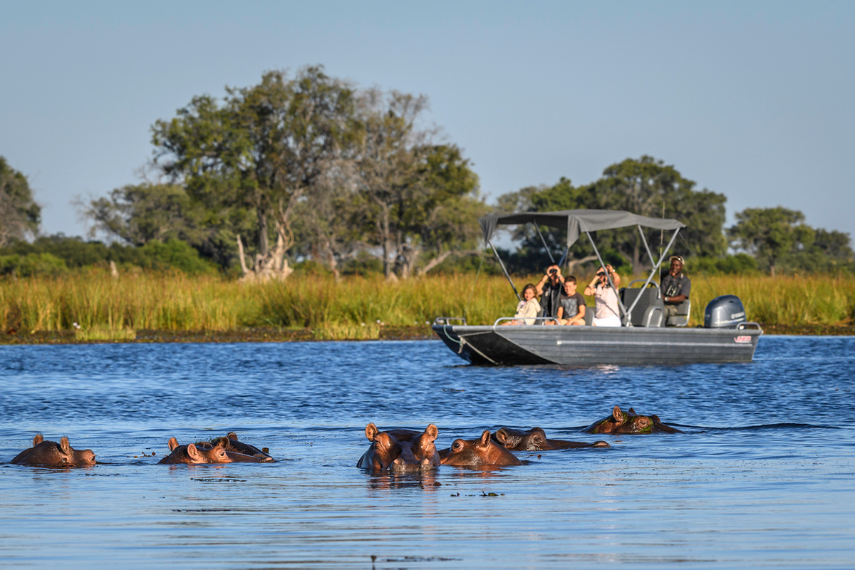 Family Safari to Khwai River & Linyanti Channel