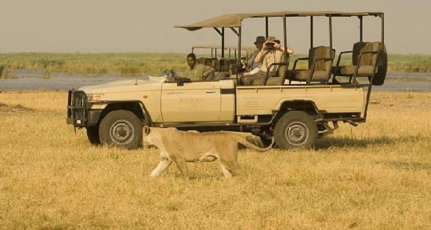Game Drive, Boat and Safari Walks