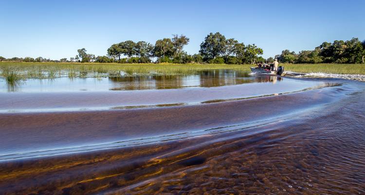 Inner Delta Mokoro Safari