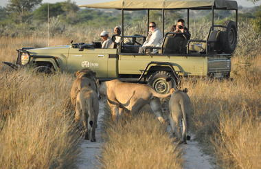Linyanti, Okavango Delta & Tau Pan Safari