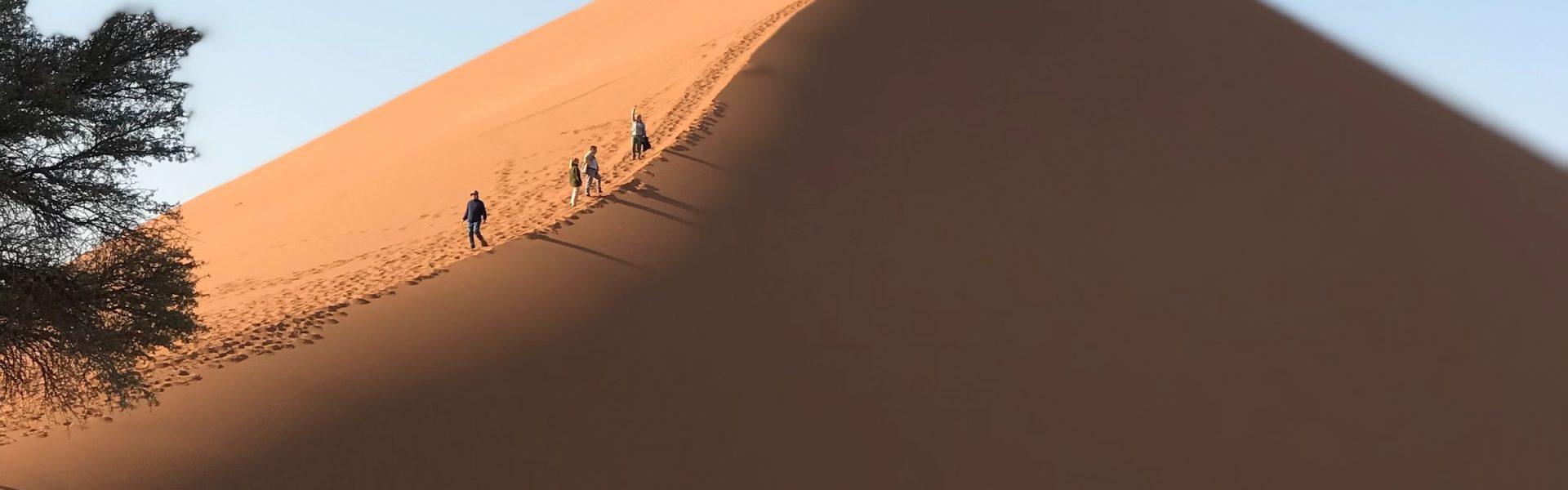 Majestic Dunes & Delta Adventure