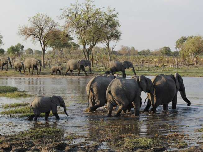 Mobile Tented Camping Safari
