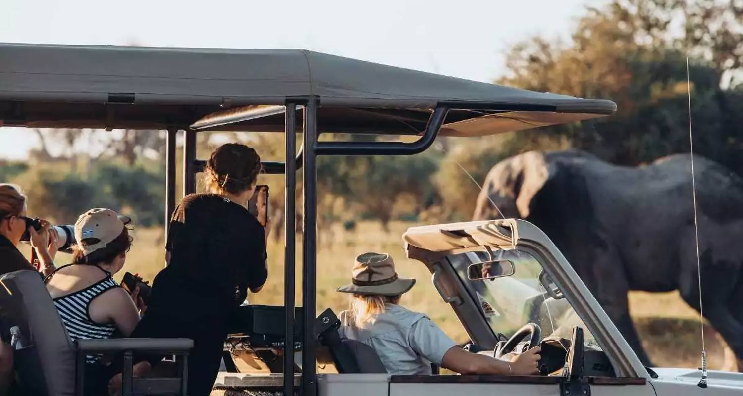Moremi Day Trip from Maun