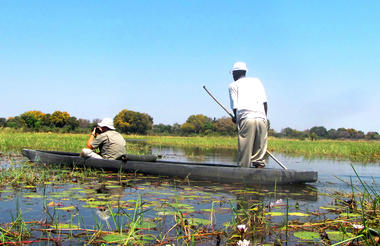Moremi & Okavango Delta Safari