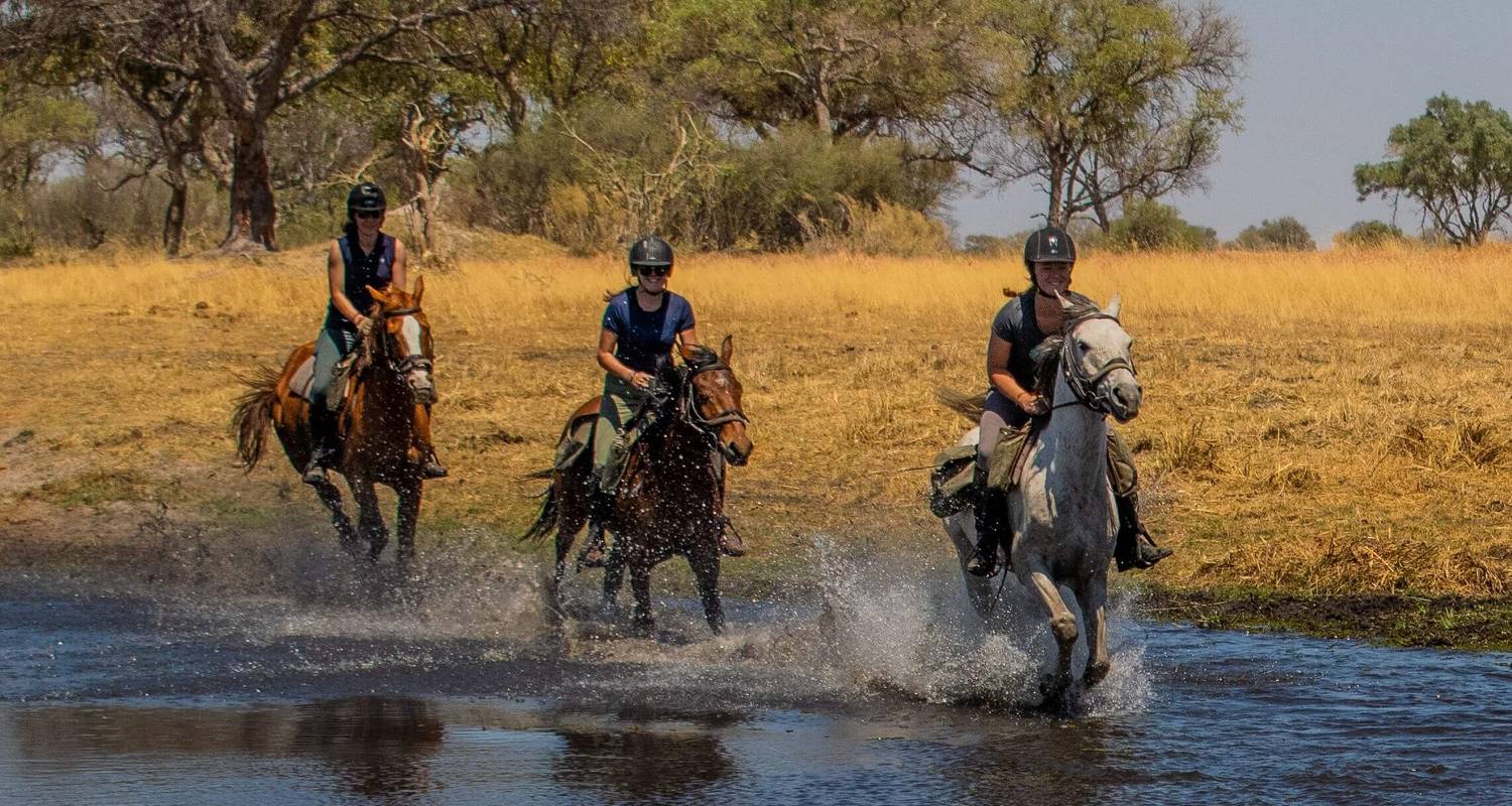 Okavango Delta Horse Riding Safari