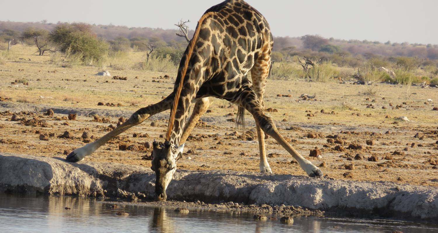 Wilderness & Desert Wild Camping Safari