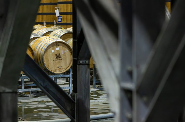 Backsberg Family Wines | Harvest Report 2026
