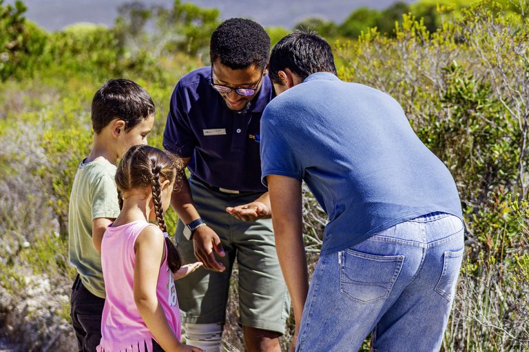 De Hoop Collection Launches New Mini Ranger Winter Programme