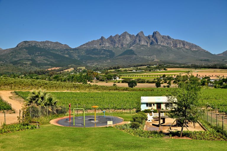 Holiday Fun for Families at a Family-Friendly Wine Farm