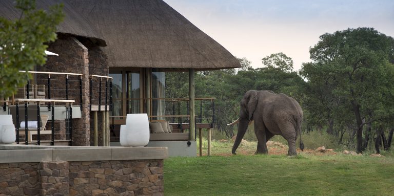 Mhondoro Safari Lodge & Villa Honoured with Four 2026 Haute Grandeur Awards